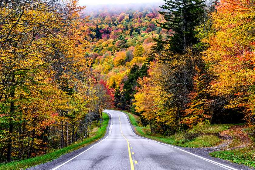 在秋季，开车穿过西弗吉尼亚州的莫农纳拉国家森林。